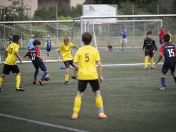 Tag des Jugendfußballs VfL Repelen 2025